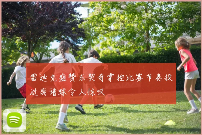 雷迪克盛赞东契奇掌控比赛节奏投进离谱球令人惊叹